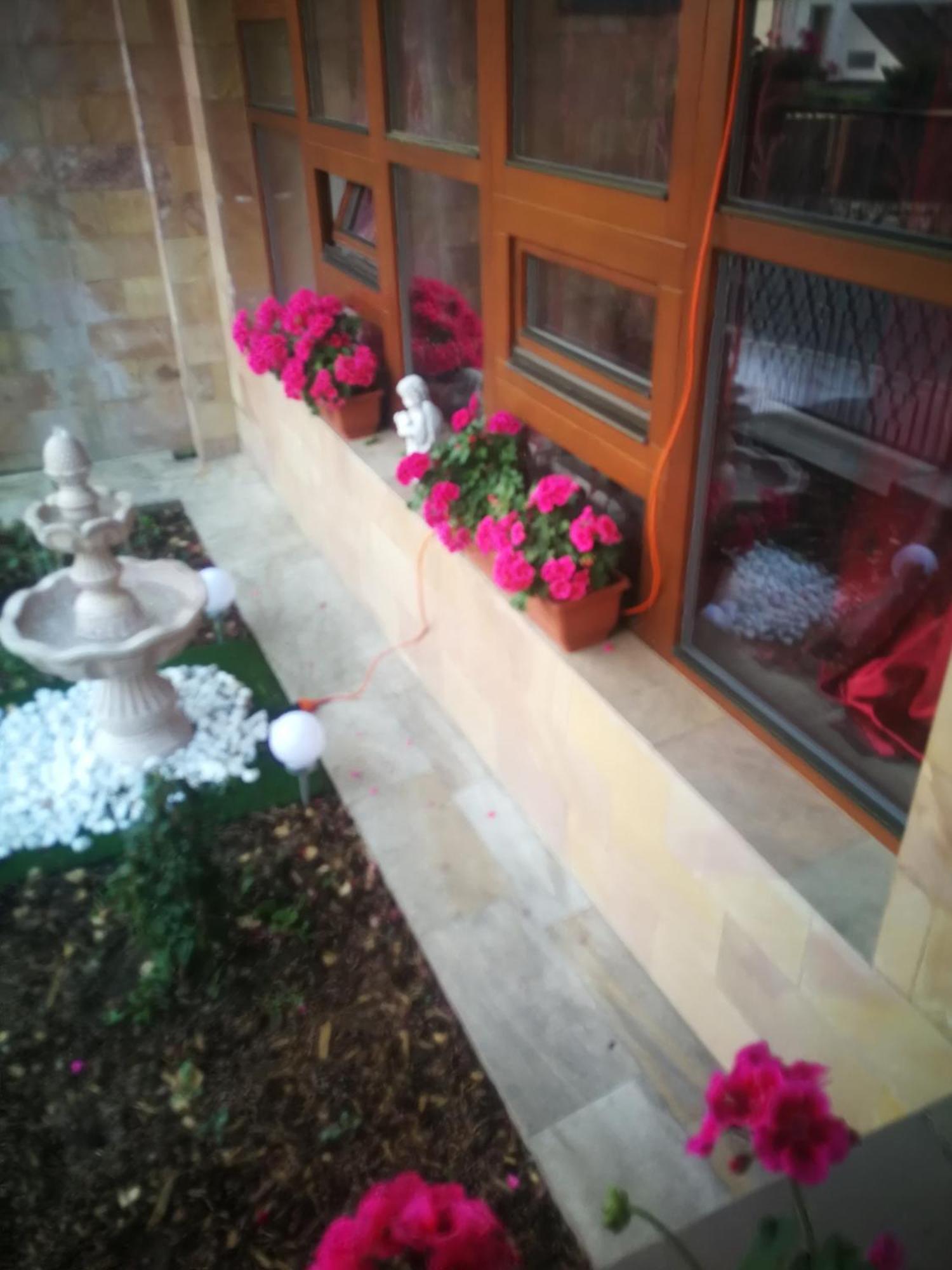 Villa Barrandovska Прага Экстерьер фото